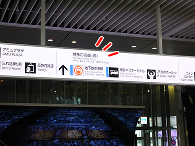 �����w����̓��ē�1